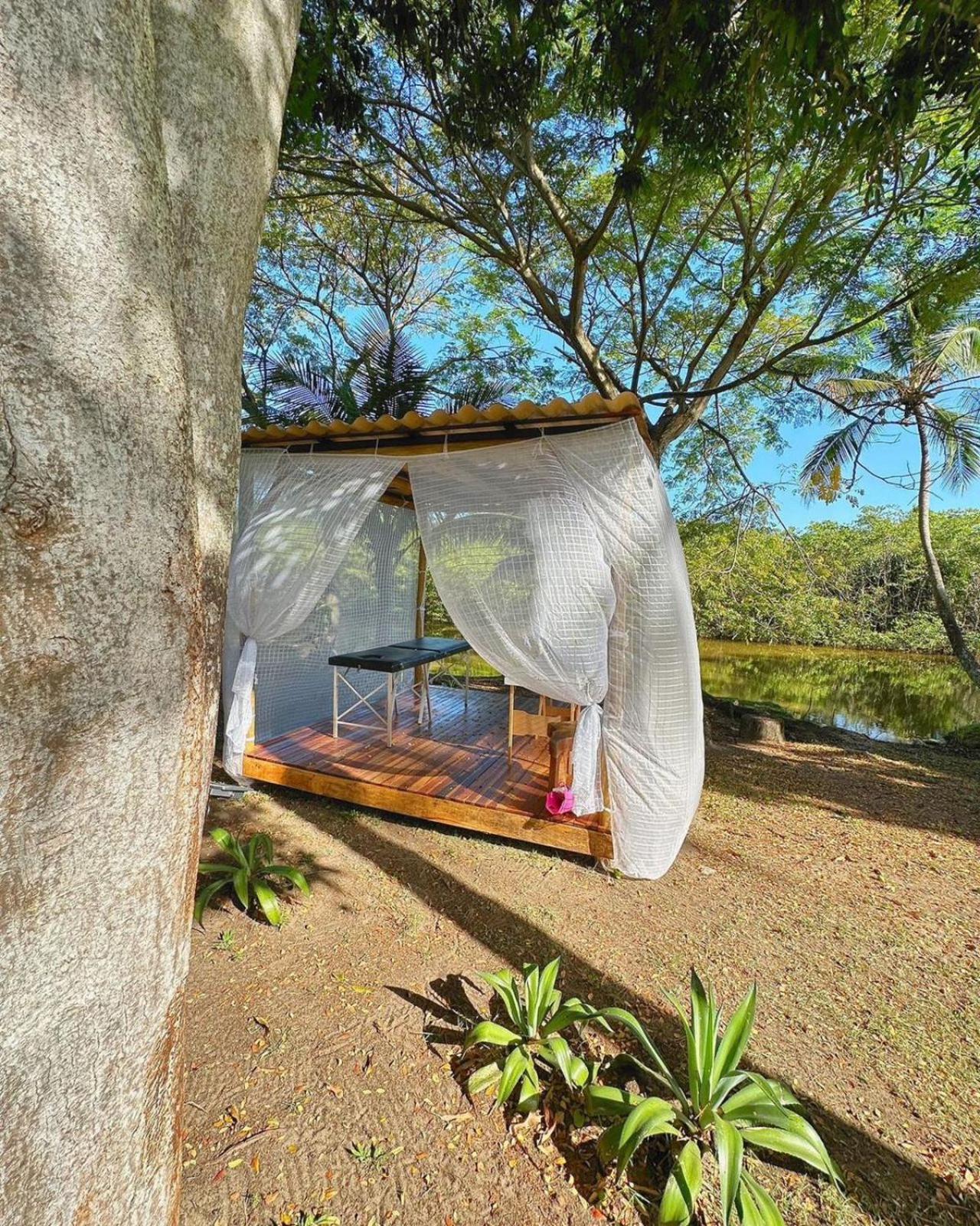 Eco Pousada Paraiso Dos Coqueirais Japaratinga Exterior photo