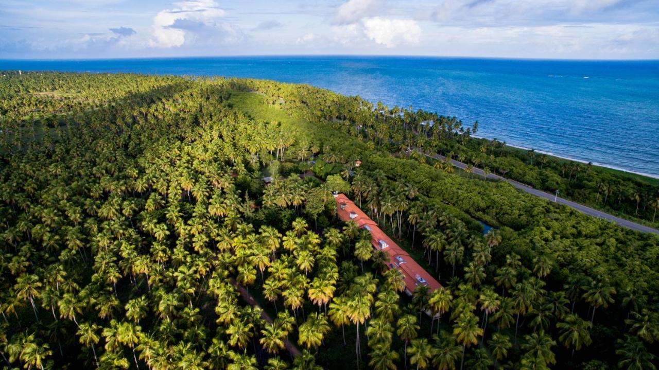 Eco Pousada Paraiso Dos Coqueirais Japaratinga Exterior photo