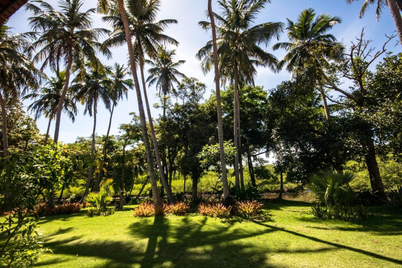 Eco Pousada Paraiso Dos Coqueirais Japaratinga Exterior photo