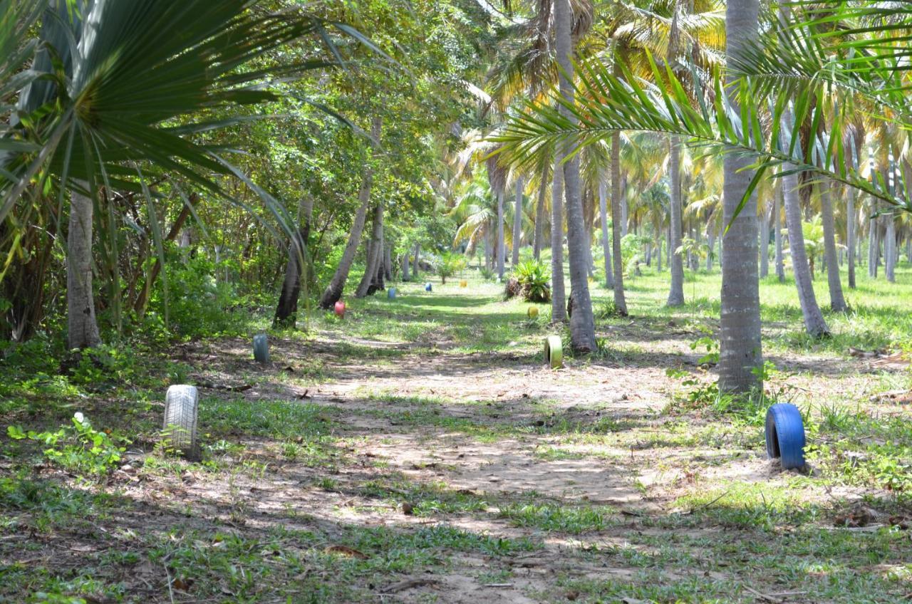 Eco Pousada Paraiso Dos Coqueirais Japaratinga Exterior photo